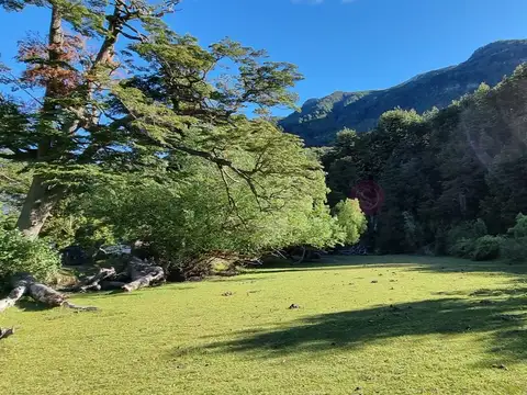 El Pegual 100
