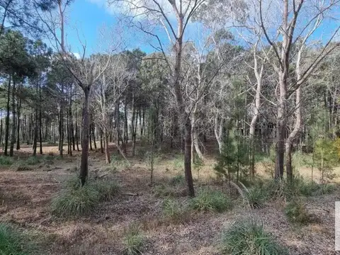 Terreno en venta - 1047mts2 - Villa Robles, Pinamar