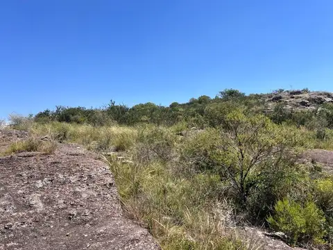 Terreno en Venta de 6500,0 m2
