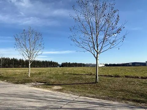 Excelente terreno industrial Polo Ezeiza 11.000 mts