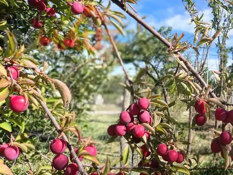 Venta de terreno Loteo Don Vicente