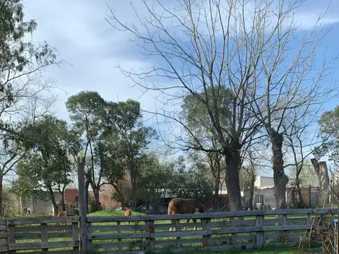Terreno en Venta en Carmen de Areco, Partido de Carmen de Areco