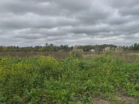 Terreno en Venta en La Plata, USD 300.000