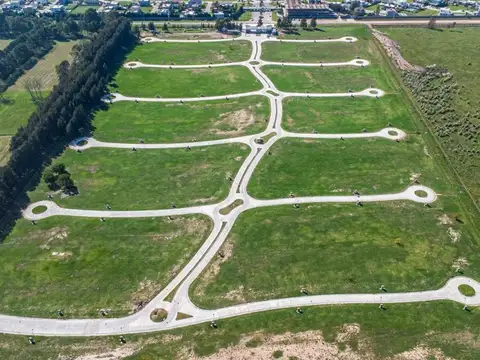 SARGENTO CABRAL 6600