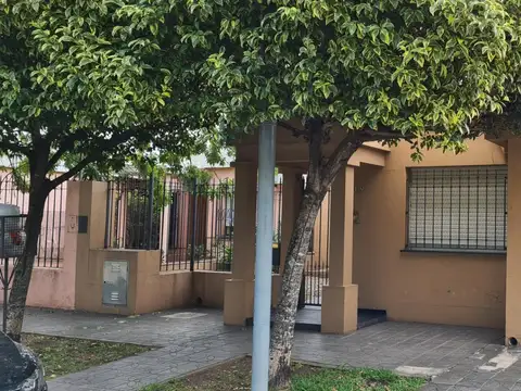 Saenz 300