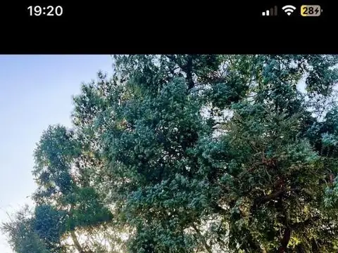 Terreno en Venta de 375,0 m2
