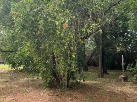 Hermosos Lotes en Pueblo Esther