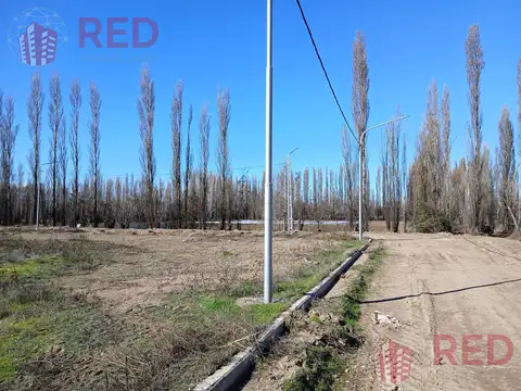 Terreno en Venta en Plottier, Confluencia