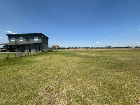 Los pasos del jockey 3