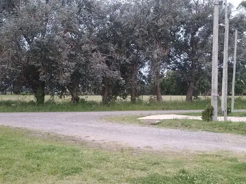 Terreno en Venta en Alejandro Petion, USD 35.000