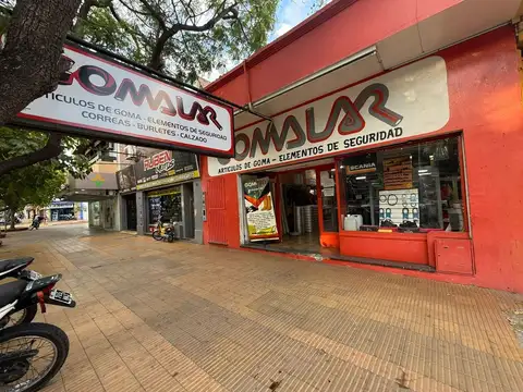 SALON COMERCIAL MAS GALPON. AV RAWSON, CAPITAL 