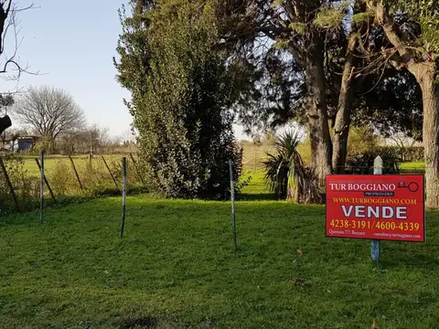 Batalla De Cancha Rayada  100