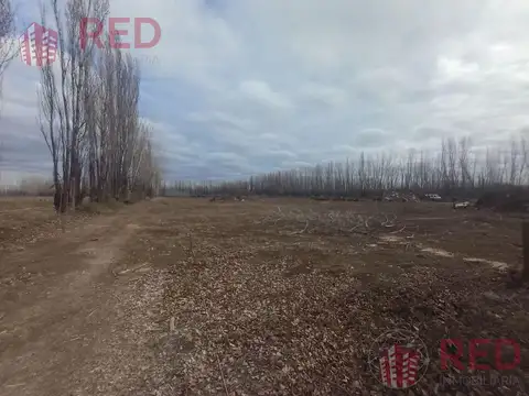 Terreno en Venta 30  mts Fondo