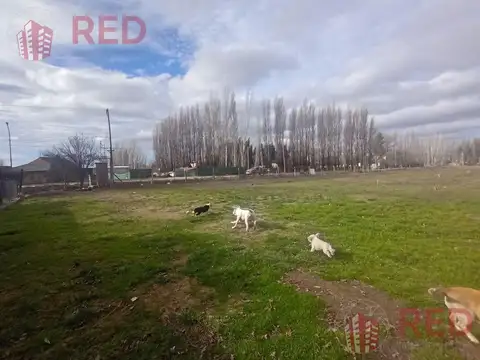 Terreno en Venta en Cipolletti, General Roca