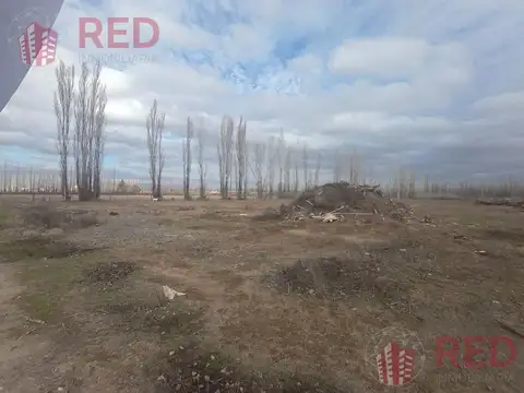 Terreno en Venta 17  mts Frente