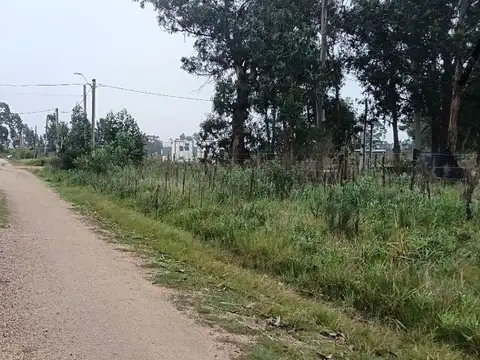 Terreno en venta de 1000m2 ubicado en Barra De Portezuelo