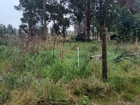 Terreno en Venta 20  mts Frente