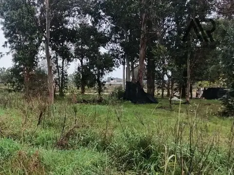 Pejerrey esquina Portezuelo