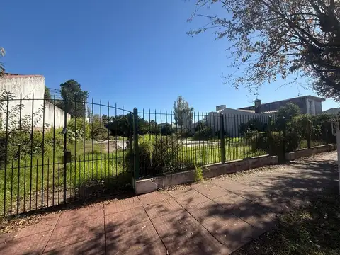 Arrecifes 900