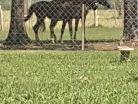 Terreno en Venta en Aero Country Club, USD 40.000