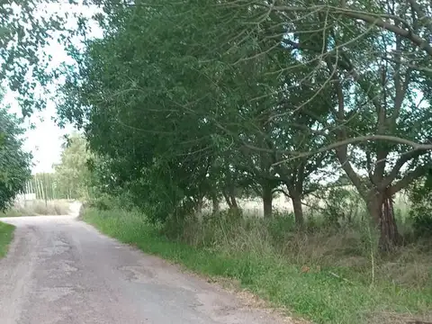 Campo en  venta en Ignacio Correas