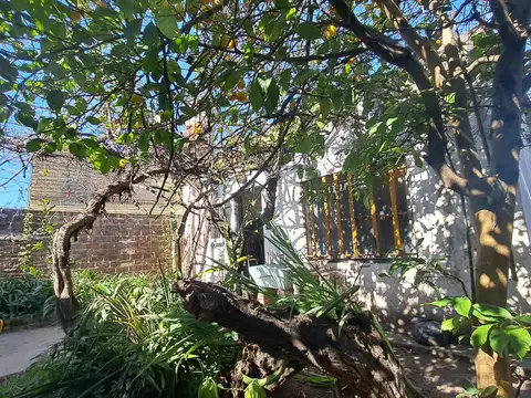 San Fernando  al 1500