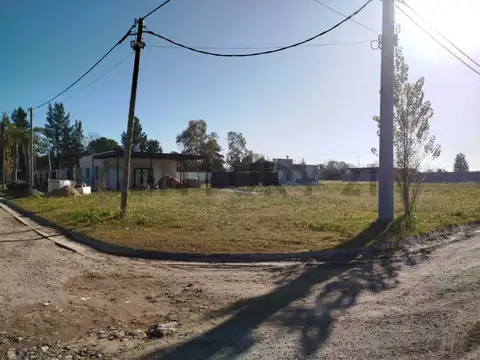 GABIBALDI Y MIRO , Piso 0