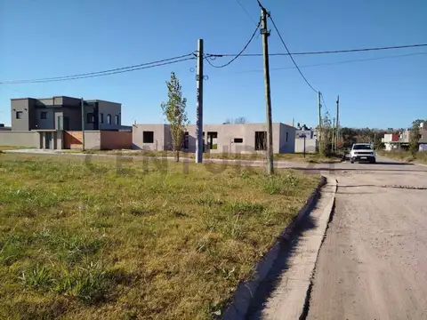 GABIBALDI Y MIRO , Piso 0