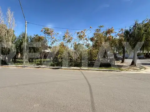 Terreno en Venta en General Roca, USD 38.000