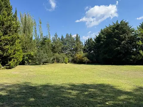 Terreno en Venta en Lujan de Cuyo, Luján de Cuyo