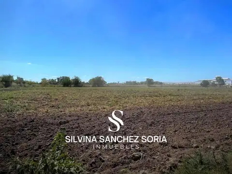 12 HECTAREAS INDUSTRIALES EN VENTA, LOS CARDALES, RP 6 KM 179,4