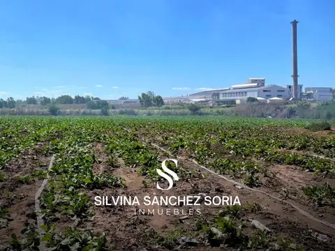 12 HECTAREAS INDUSTRIALES EN VENTA, LOS CARDALES, RP 6 KM 179,4