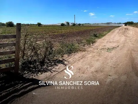 12 HECTAREAS INDUSTRIALES EN VENTA, LOS CARDALES, RP 6 KM 179,4