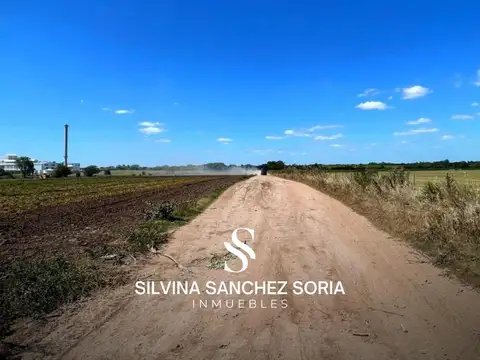 12 HECTAREAS INDUSTRIALES EN VENTA, LOS CARDALES, RP 6 KM 179,4