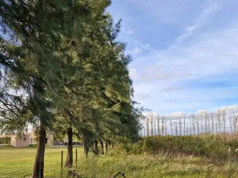 Campo en Venta de 0,89  ha
