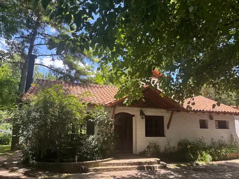 Mapuche