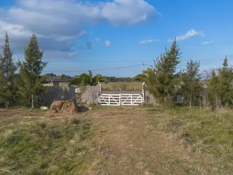 HECTAREAS EN VENTA EN ATALAYA