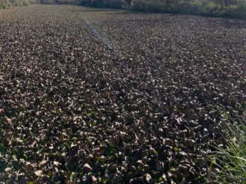 Terreno en Venta en Villa La Ñata, USD 1.000.000