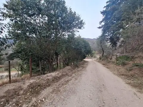 Los Espinillos