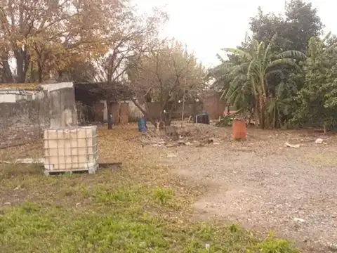 Tinglado Ricardo Rojas