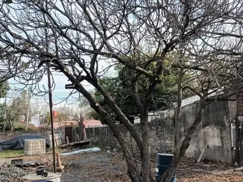 Galpon en Alquiler en Ricardo Rojas, $ 2.500.000