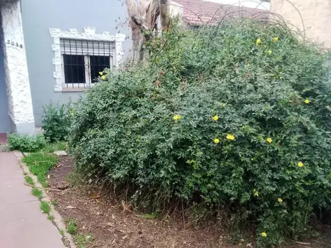 Francisco Narciso De Laprida 2000