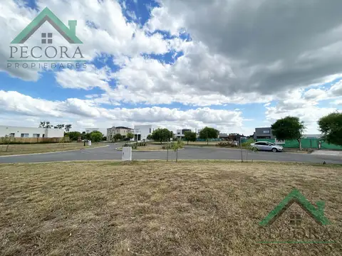 San Ramon - Lote 211 - Pilar del Este
