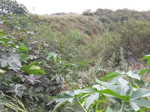 Cerro Lanín