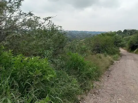 Cerro Lanín