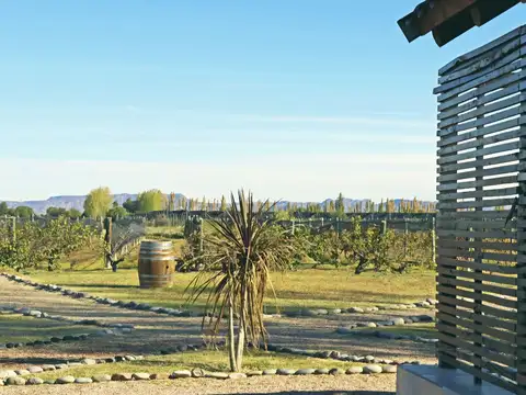 Finca - Capitan Montoya