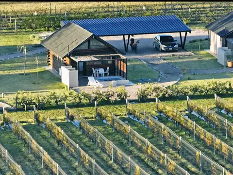 Finca - Capitan Montoya