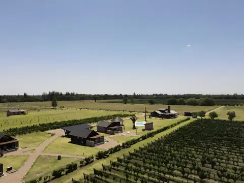 Finca - Capitan Montoya