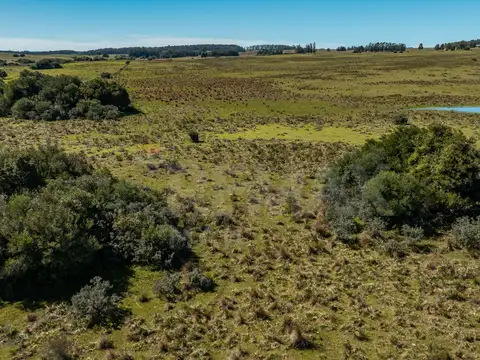 Chacra en venta José Ignacio Campo en Oportunidad!