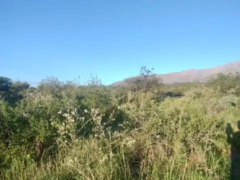 Lotes en venta con servicios San Javier Traslasierra Córdoba